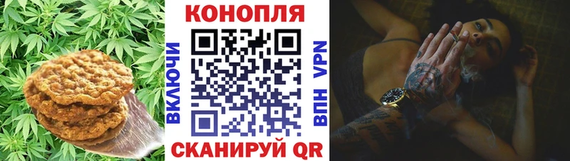 shop наркотические препараты  Бирск  Еда ТГК конопля 