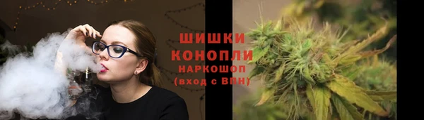 PSILOCYBIN Алзамай