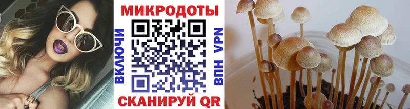 Псилоцибиновые грибы прущие грибы  Бирск 